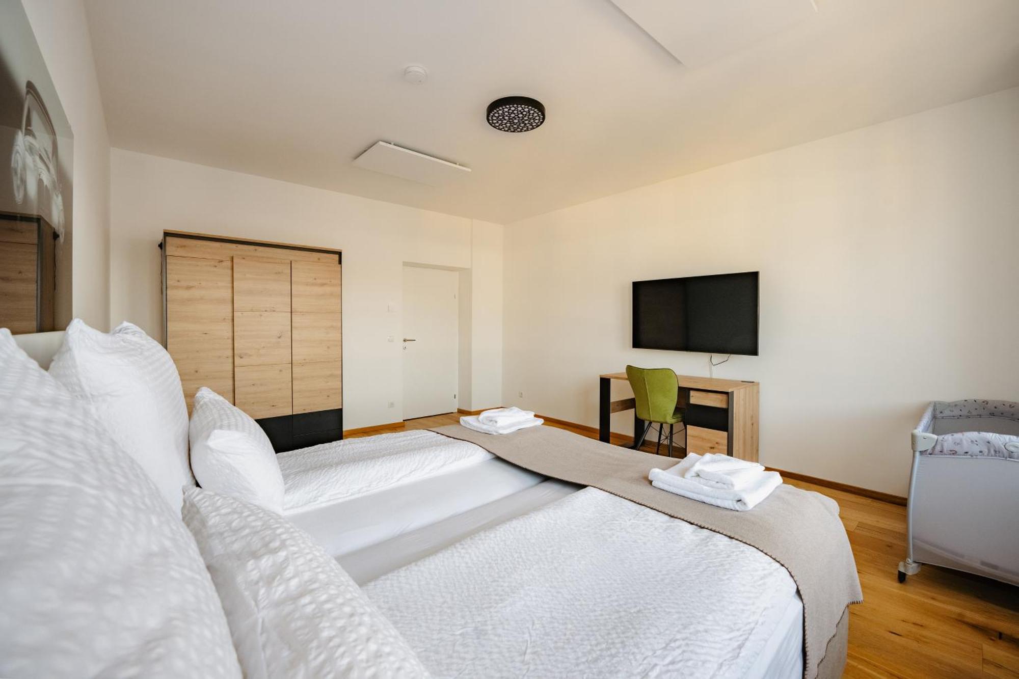 Tamliving Center Luxury 4 Rooms Smart Tv Kitchen Great View Грац Экстерьер фото